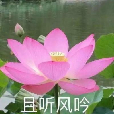 乱世群雄手游下载